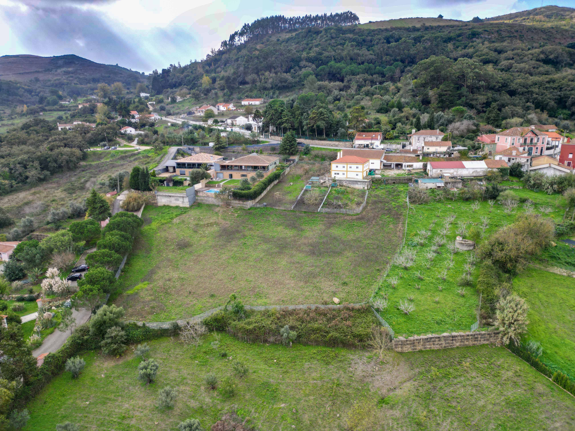 Quinta Arruda