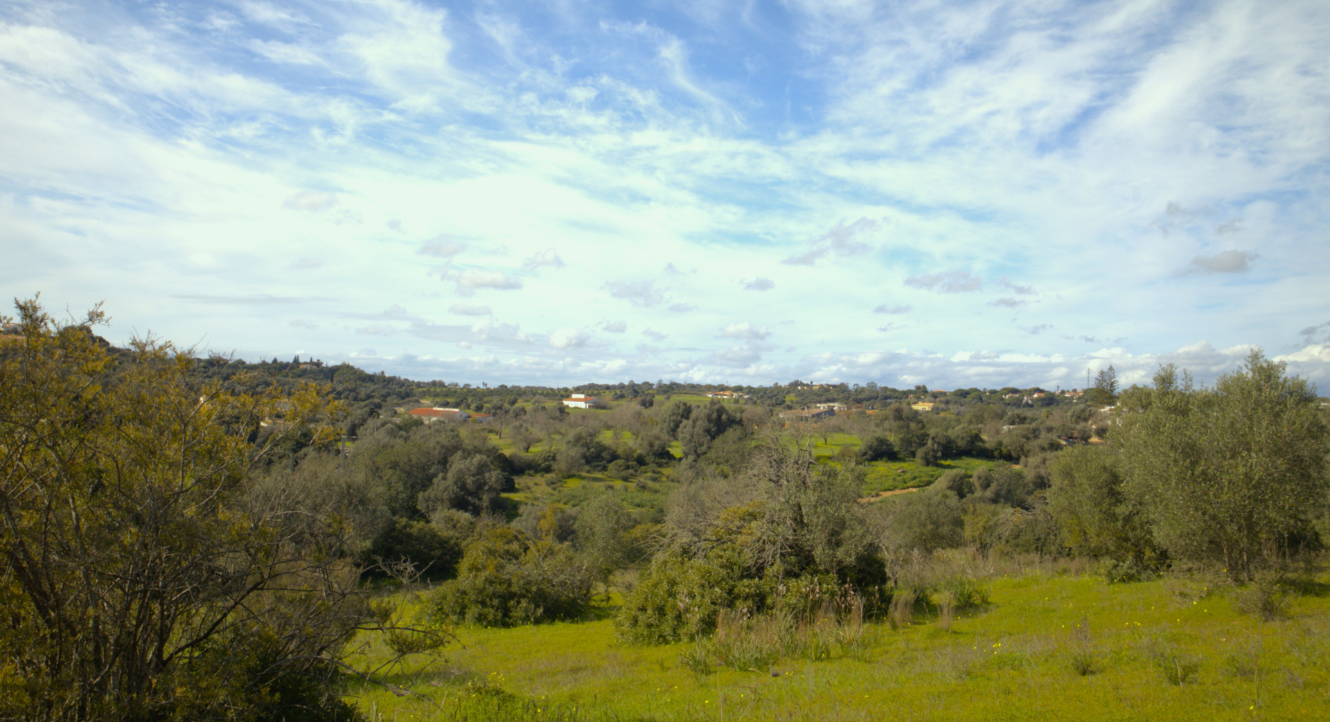 Land in Porches with Sea View and Tourist Potential