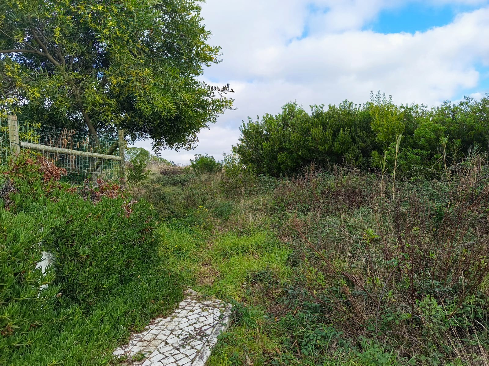 Terreno de Encosta na Foz do Arelho com Vista Privilegiada para a Lagoa