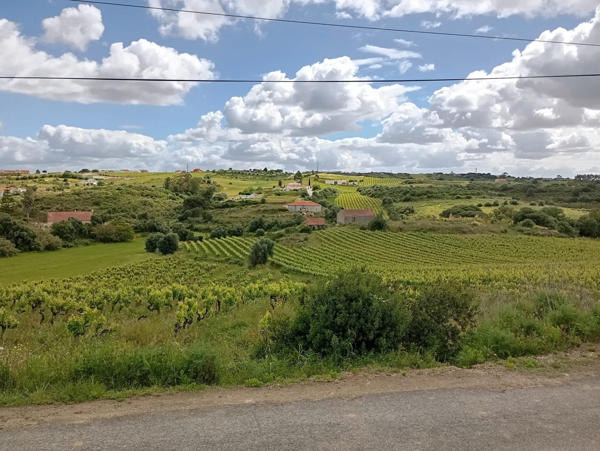 Building plot in Canhestro (Alenquer)