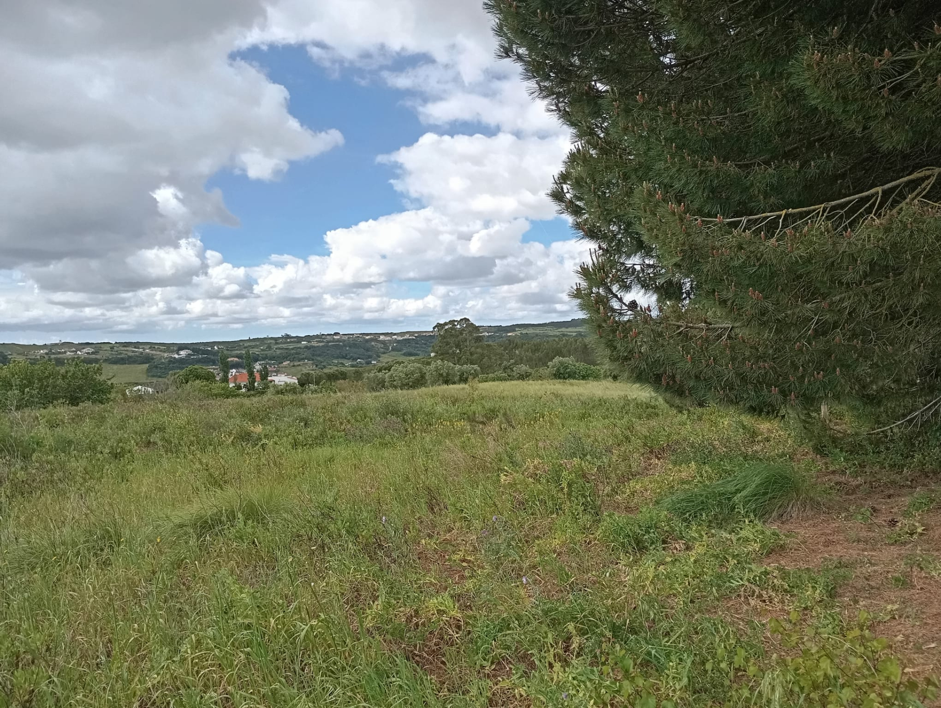 Building plot in Canhestro (Alenquer)