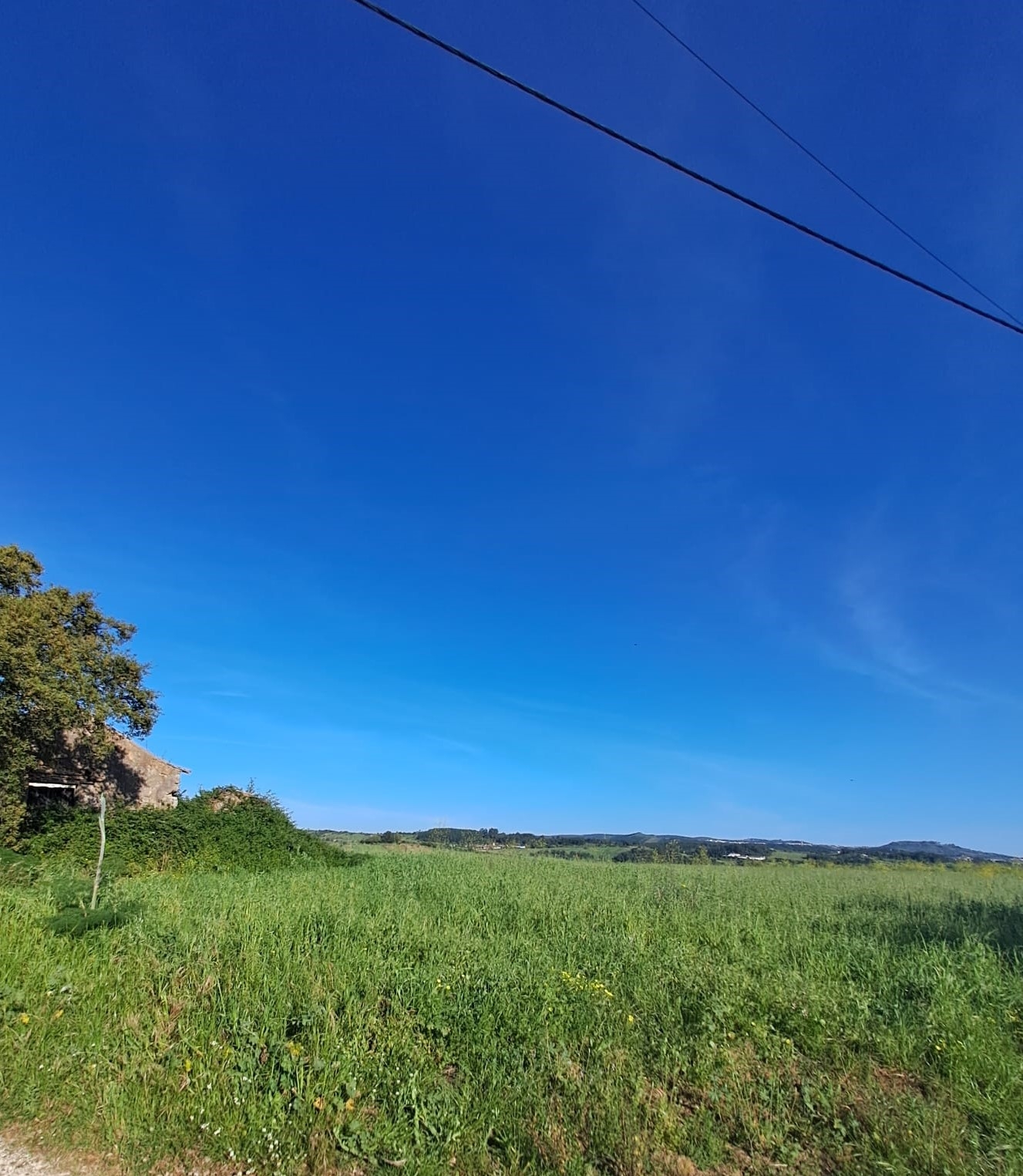 Rustic land in Penedos de Alenquer