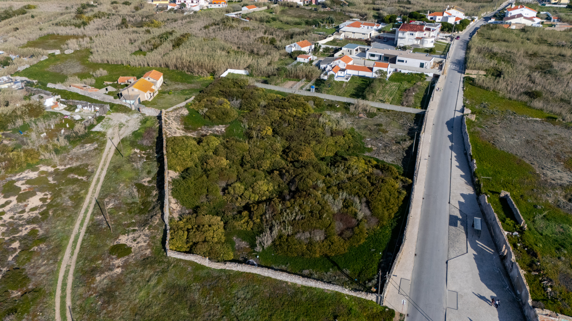 Terreno 6.000m2 com vista mar em Peniche