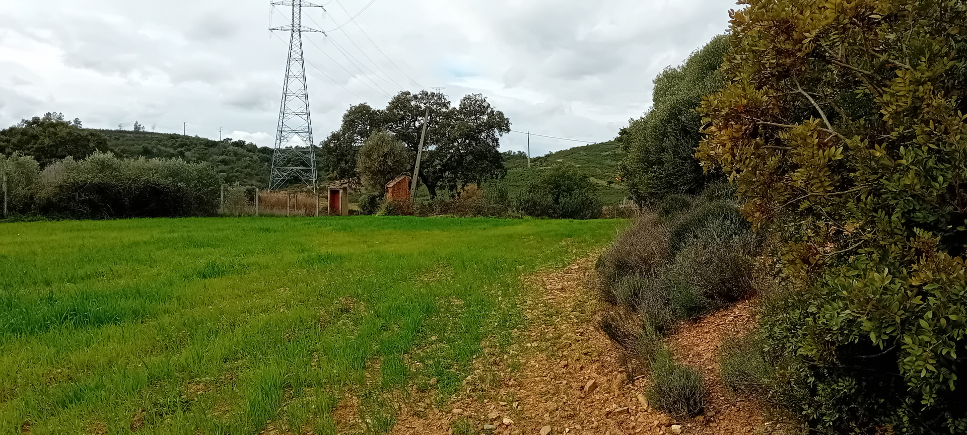 Terreno com Ruina a 7 Km de S.B. de Messines