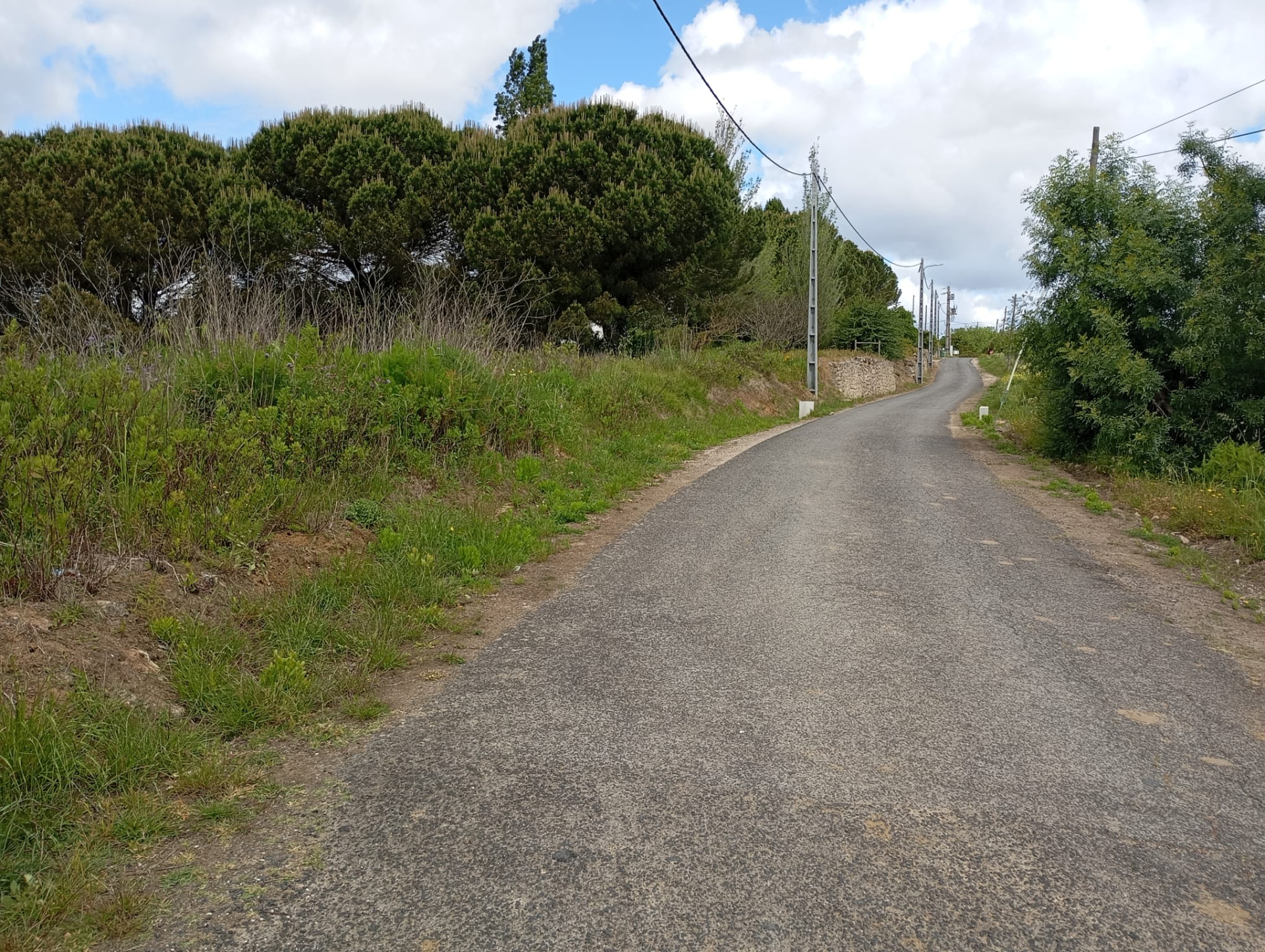 Building plot in Canhestro (Alenquer)