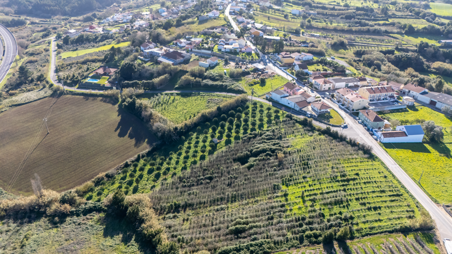 Moradia T3 c/ Armazém e Terreno em São Gregório