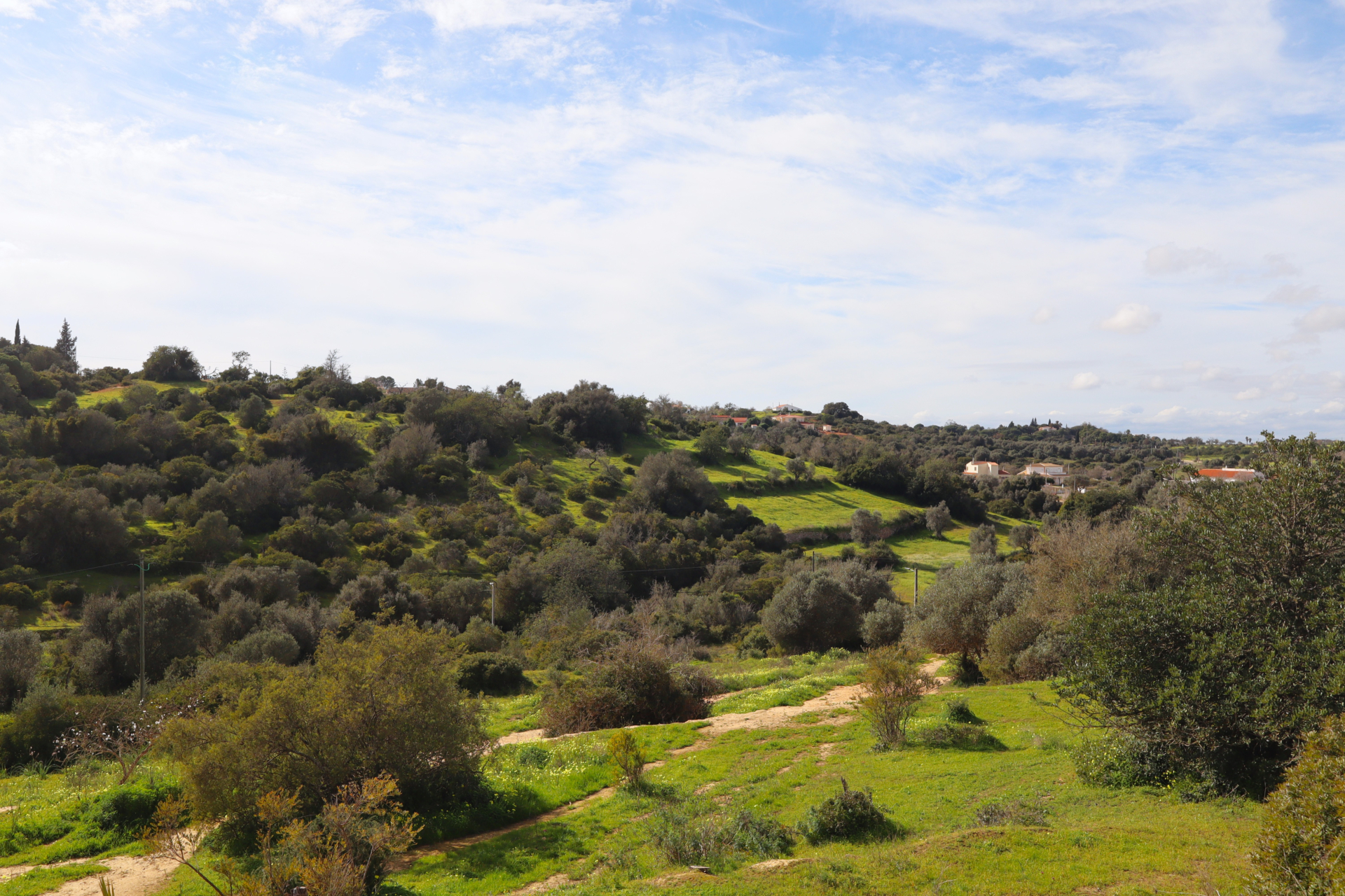 Land in Porches with Sea View and Tourist Potential