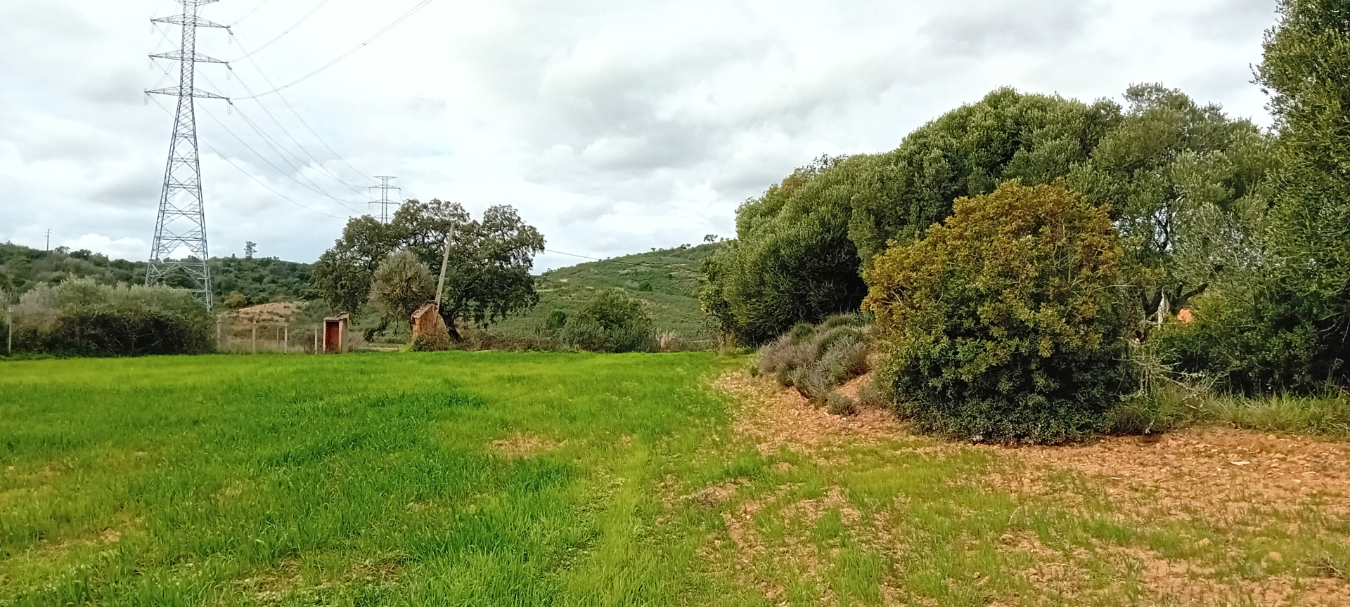 Terreno com Ruina a 7 Km de S.B. de Messines