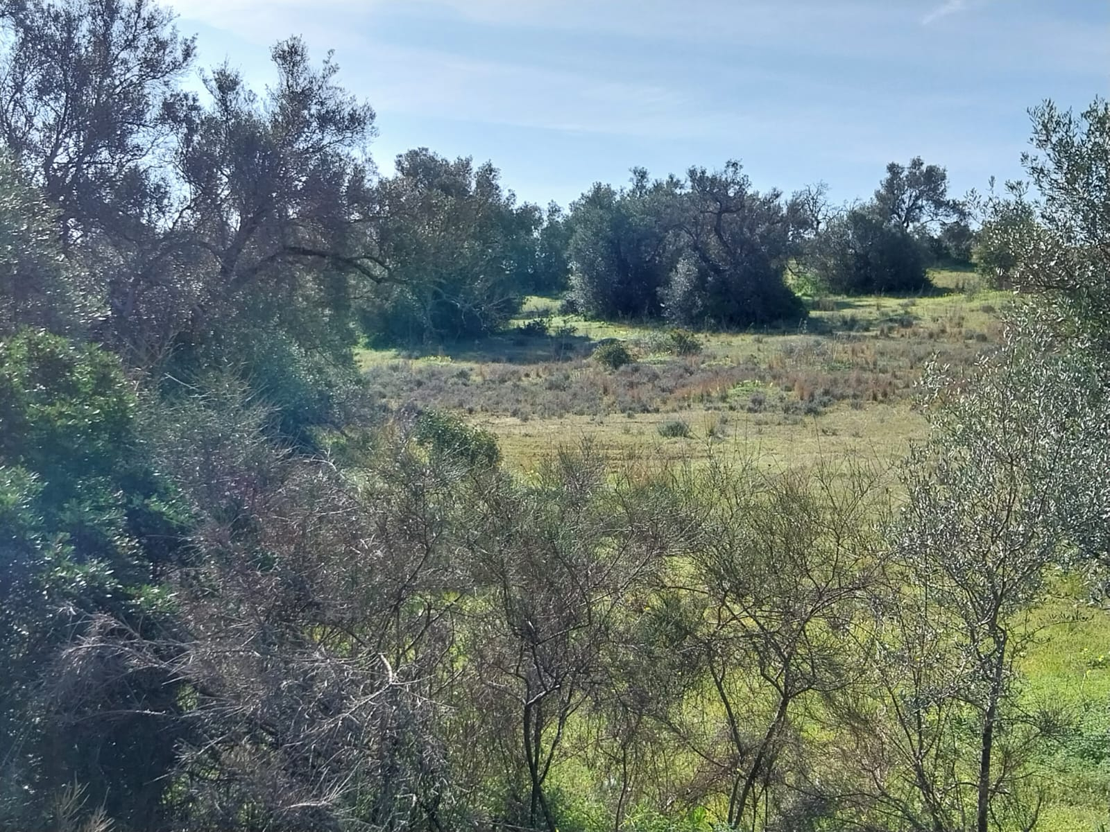 Lote de Terreno Rustico junto á Estrada Nacional 125