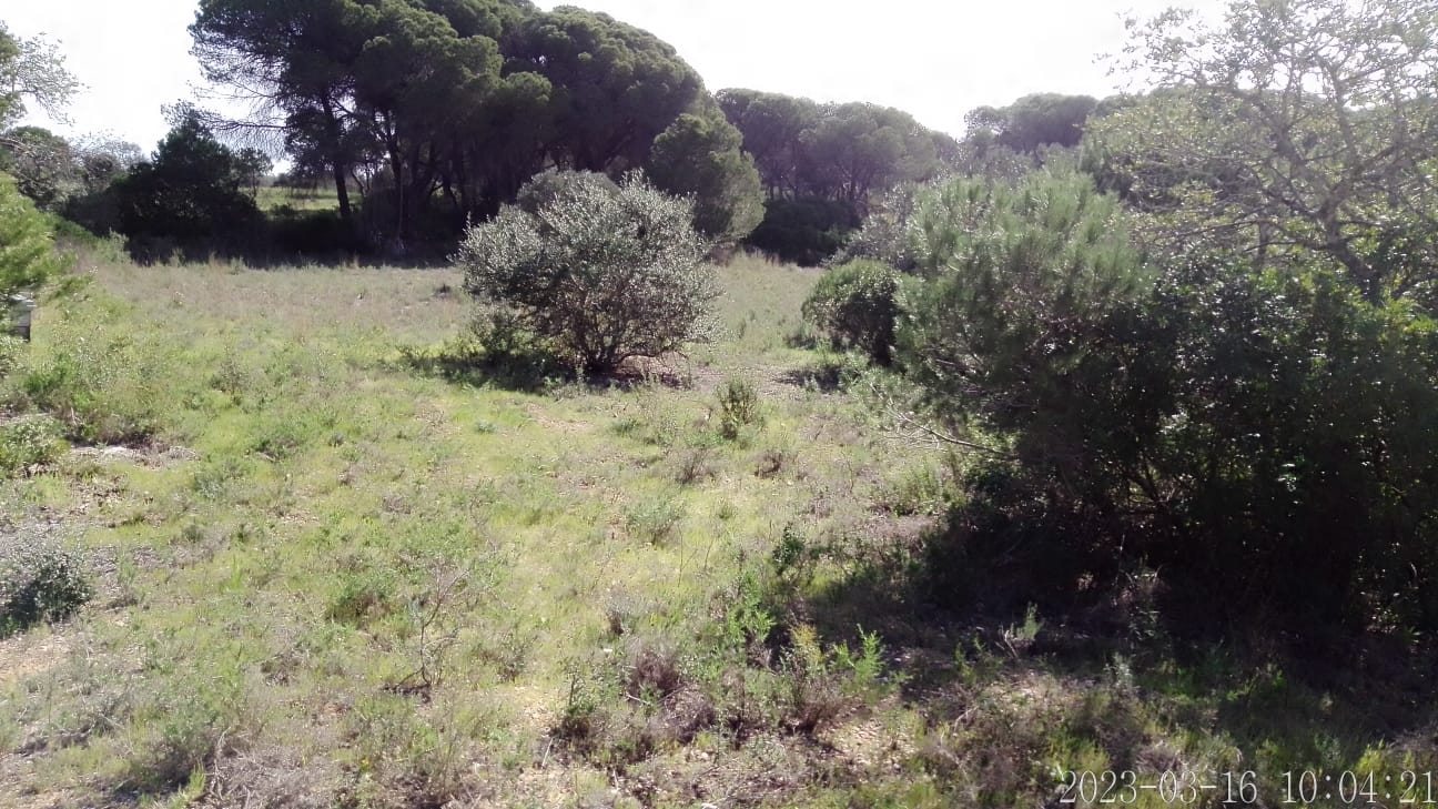 Lote de Terreno Rustico