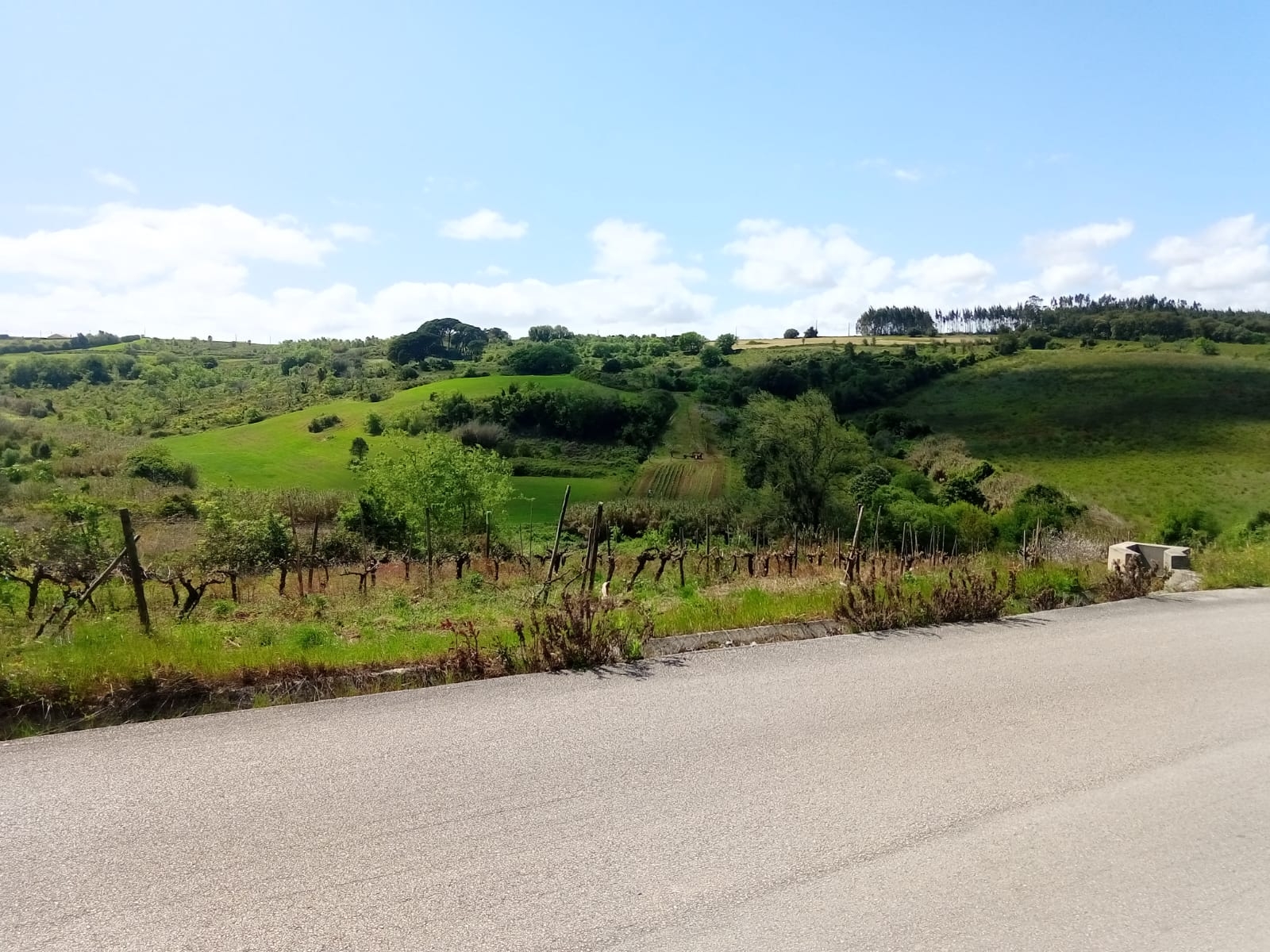 Terreno Rústico a 5km de Arruda dos Vinhos