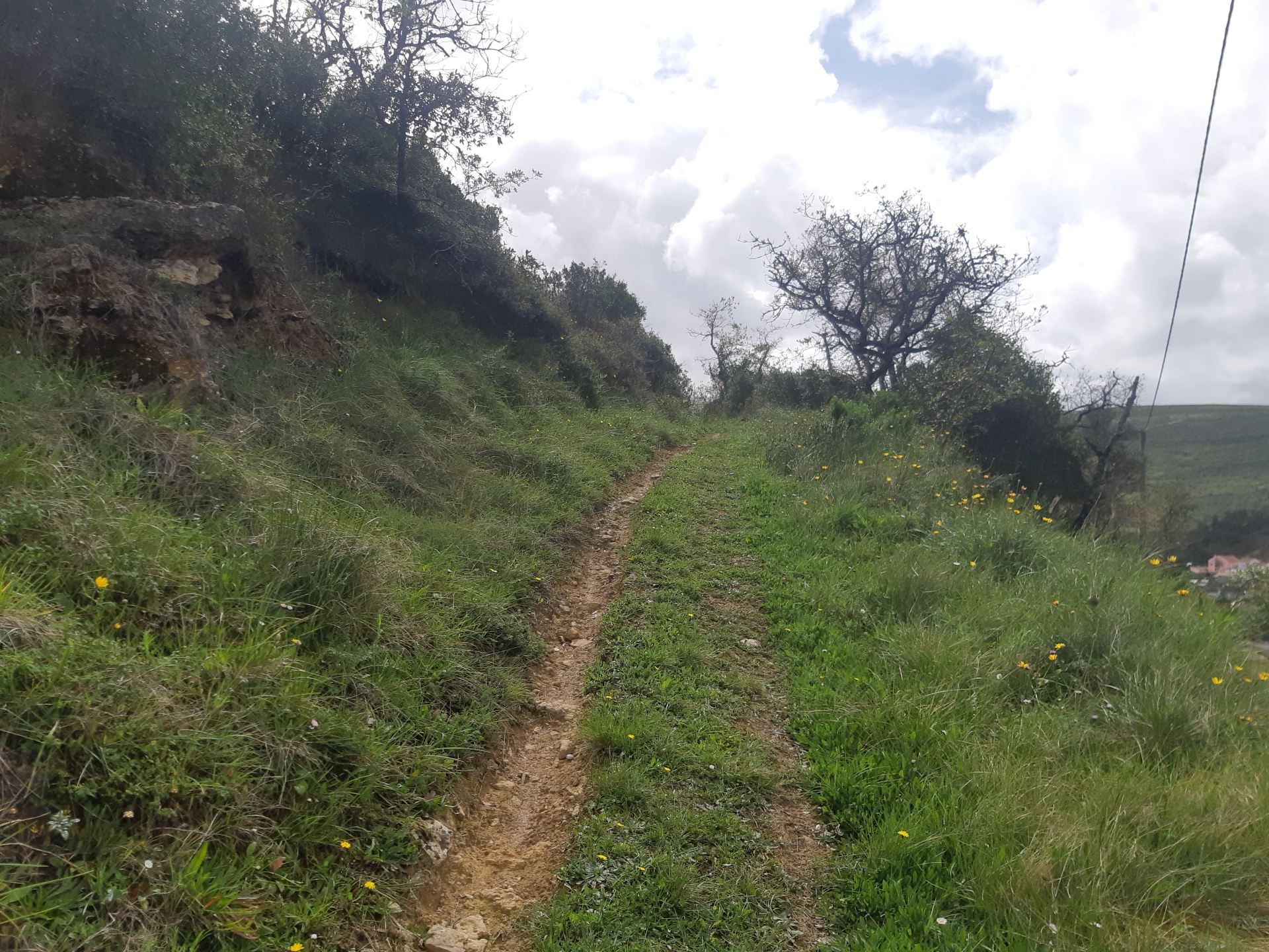 Terreno rústico em Bocal de Cima, Ponte de Lousa