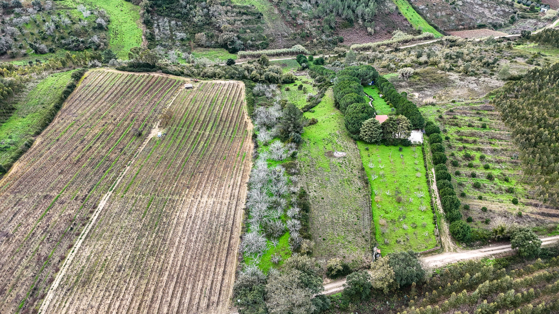 Terreno rustico na Pipa