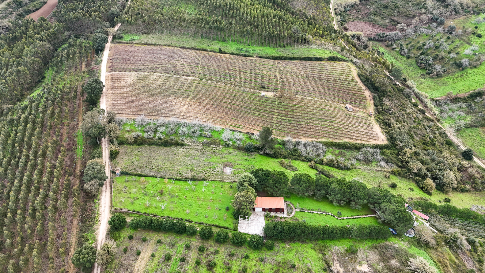 Terreno rustico na Pipa