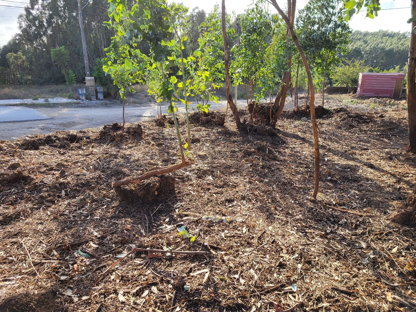 Terreno Odivelas Loures