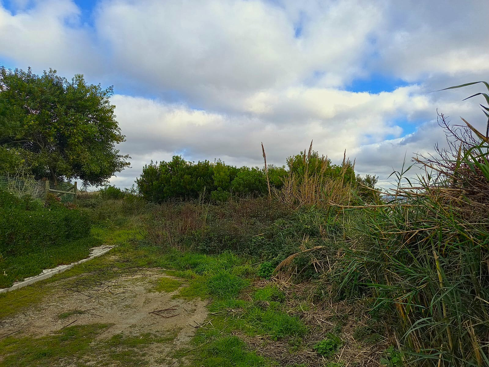 Terreno de Encosta na Foz do Arelho com Vista Privilegiada para a Lagoa