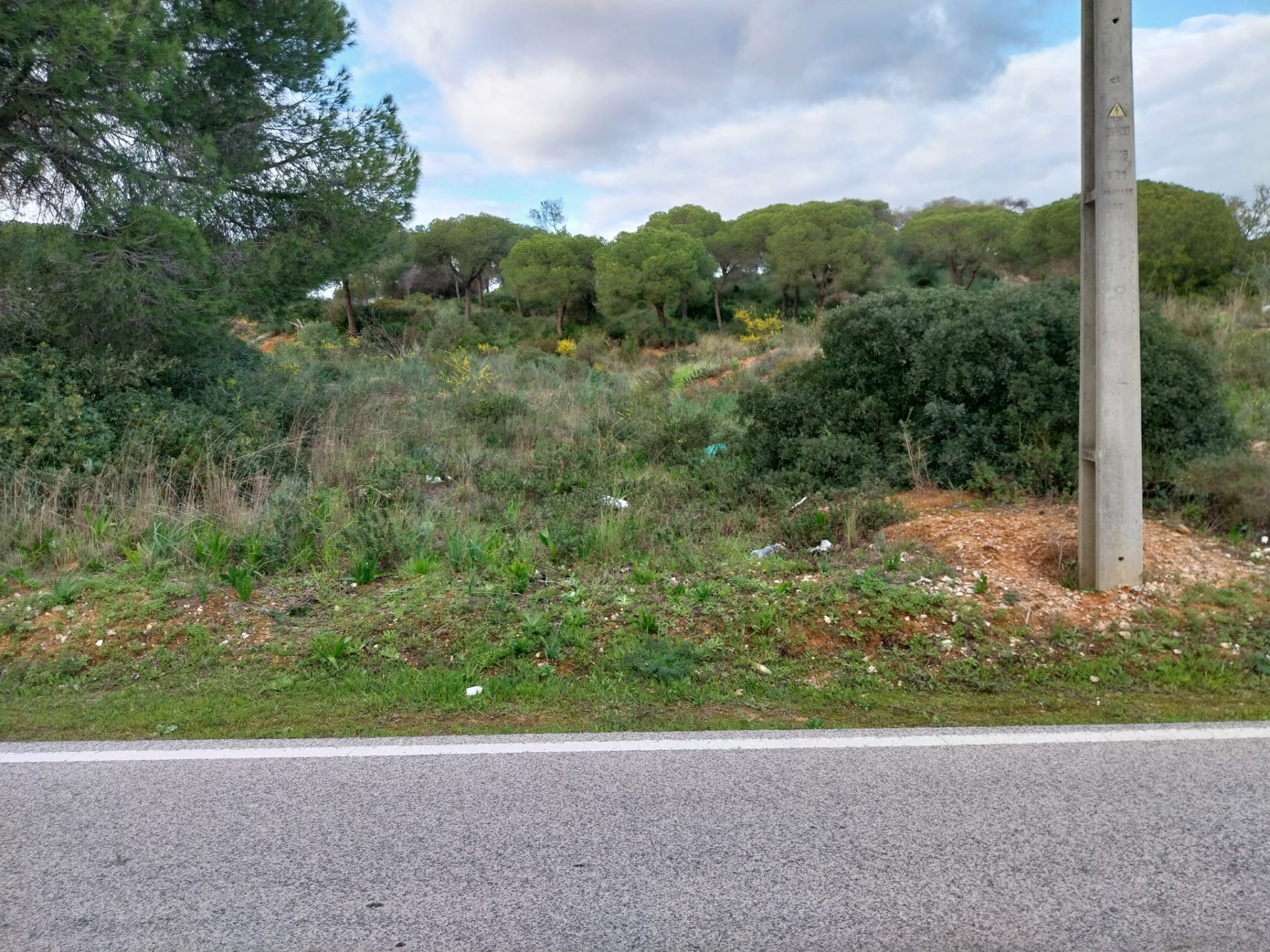 Lote de terreno Rustico com bom acesso e eletricidade