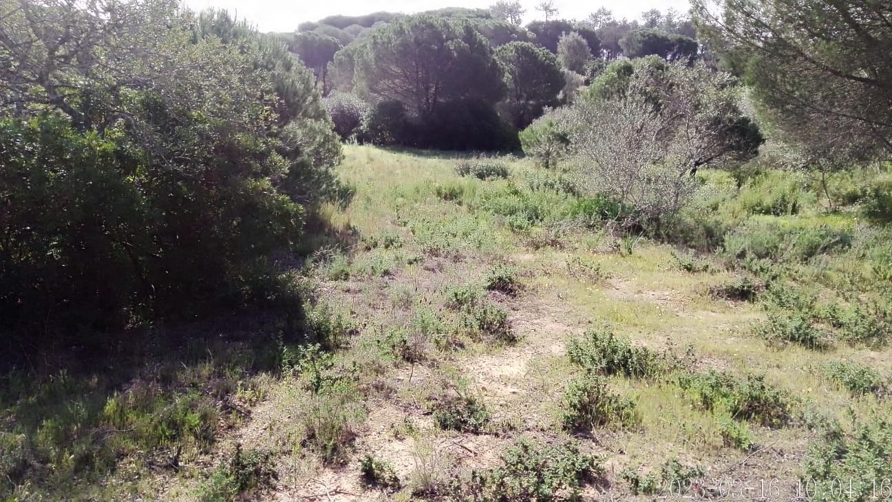 Lote de Terreno Rustico