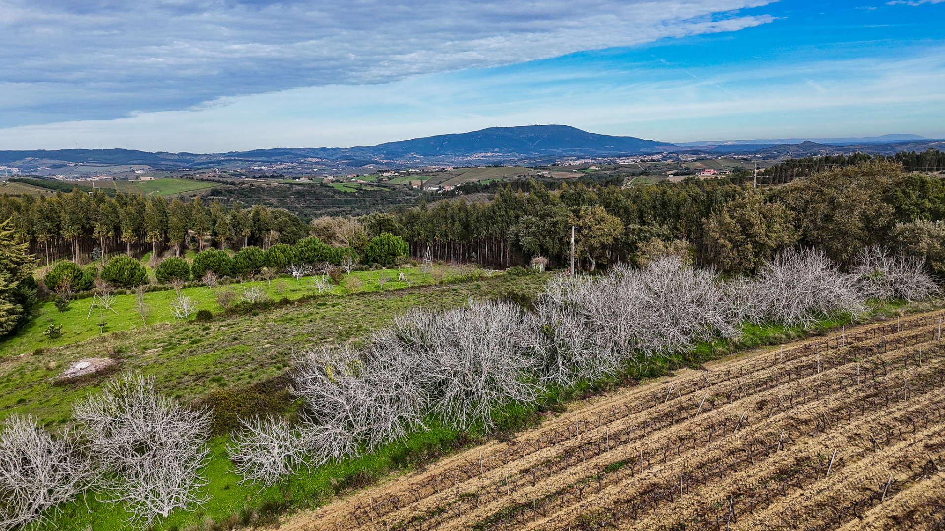 Terreno rustico na Pipa