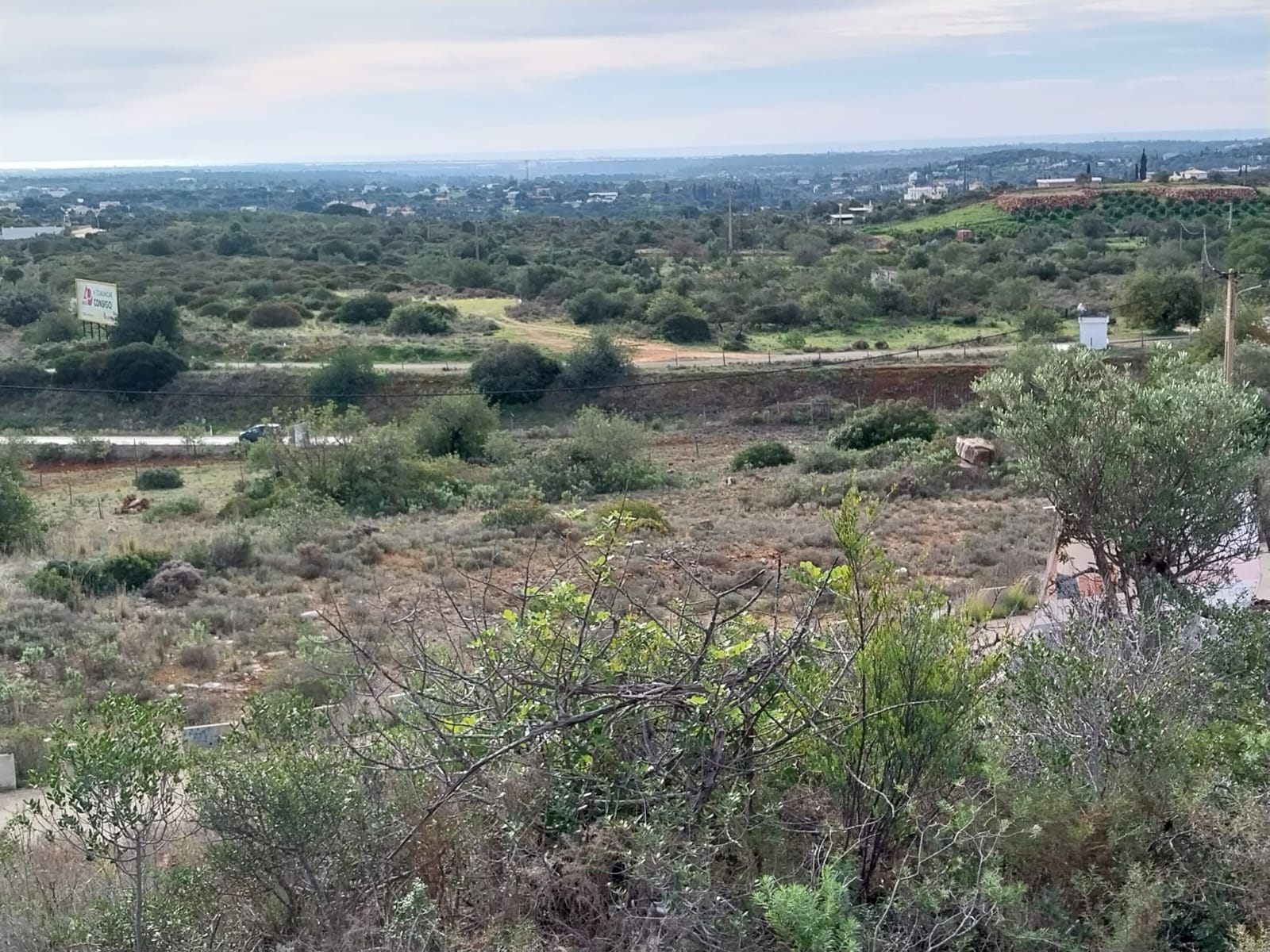 Bonito lote de terreno Rustico