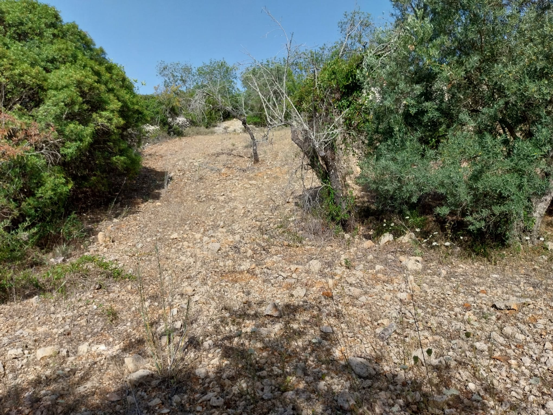 Lote de Terreno Rustico com 1.400m2