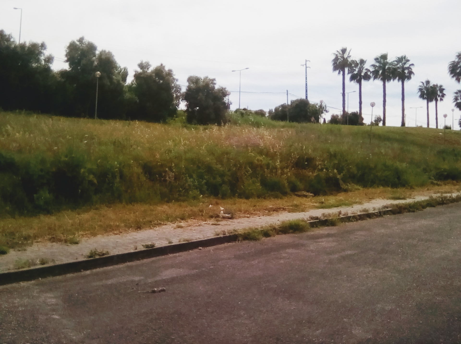 Terreno urbano Apelação Loures