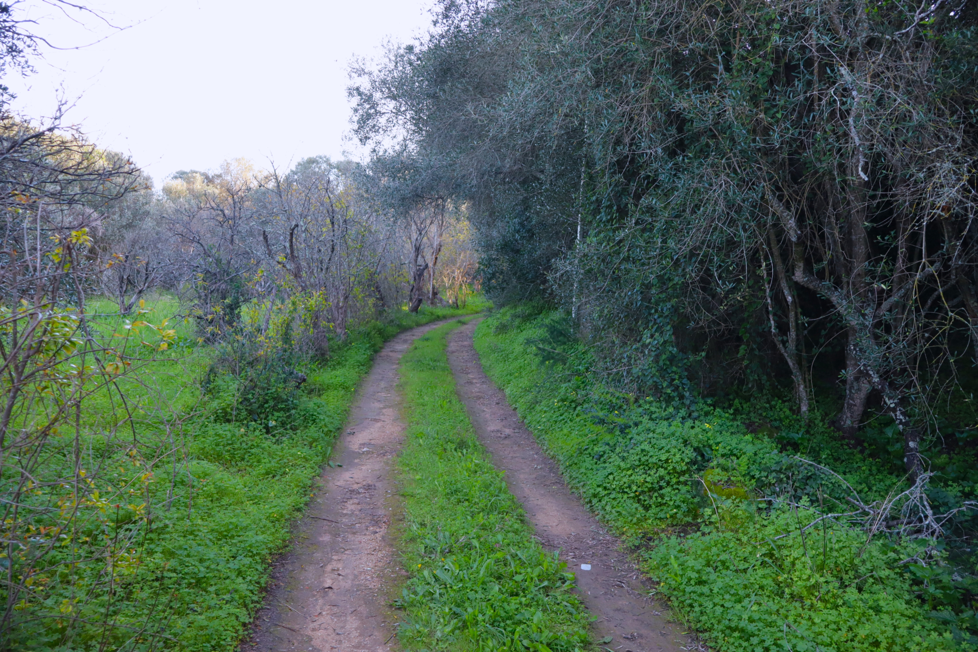 Oportunidade Única: Terreno com Ruína e Vista para o Amendoeira Golf