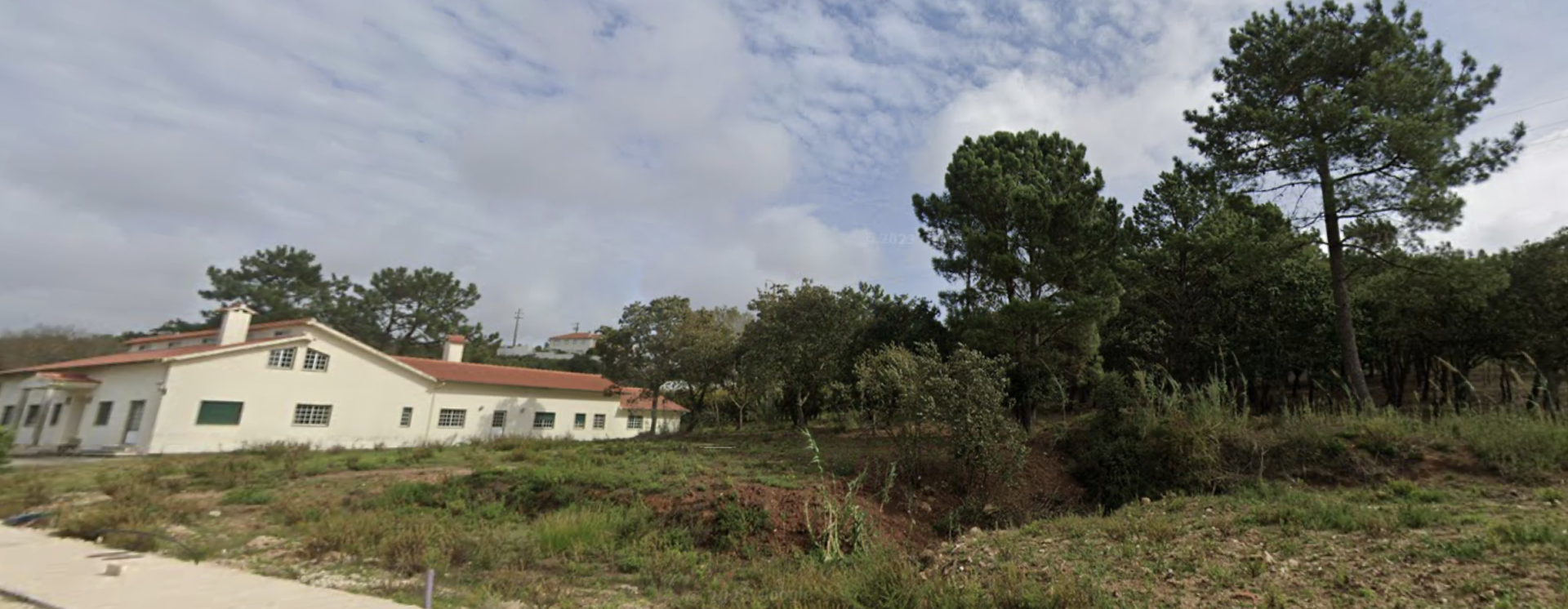 Lote para construção de moradia + Terreno com pinhal em Caldas da Rainha