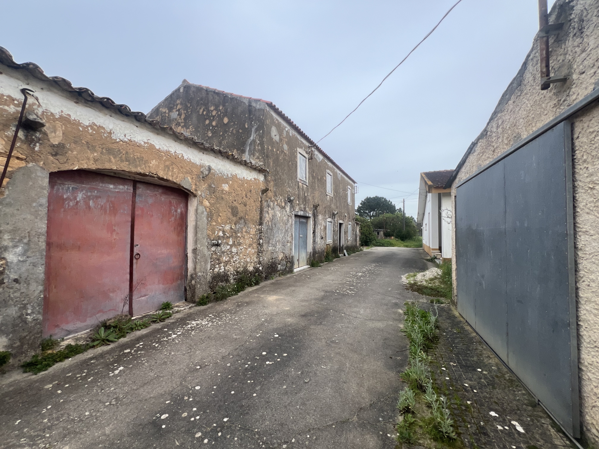 Farm with Land, House, Ruin and Warehouse