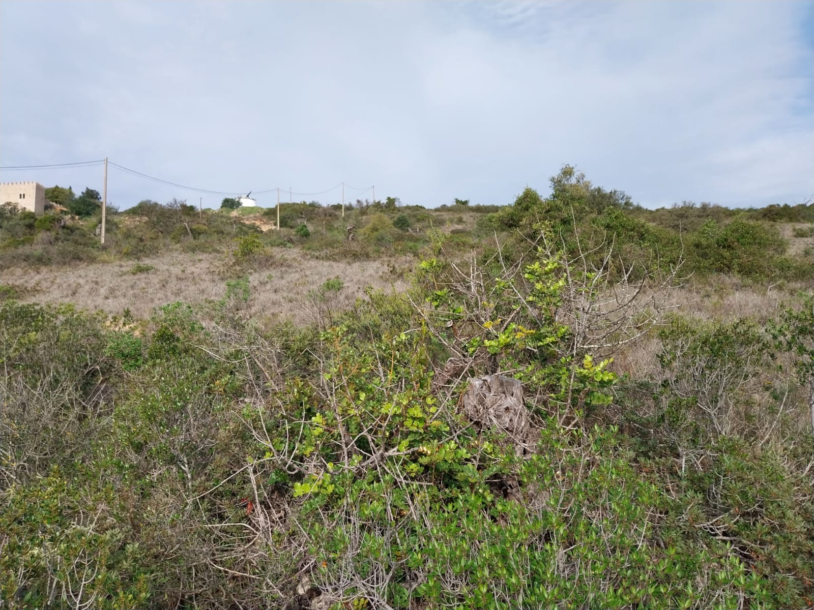 Bonito lote de terreno Rustico