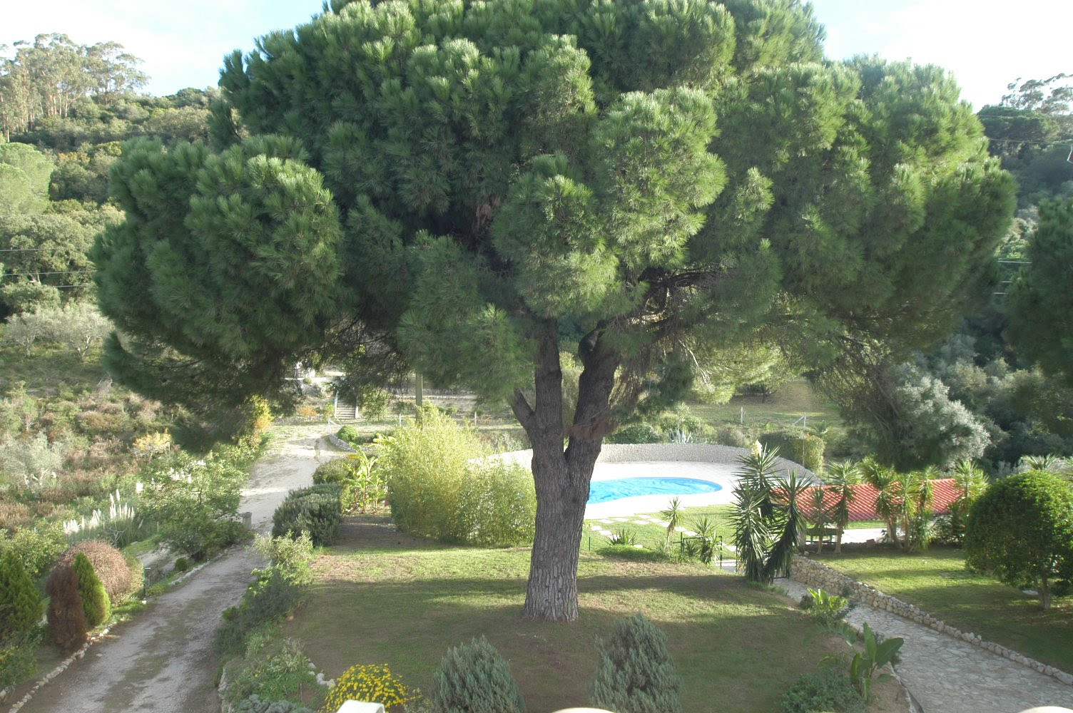 Farm in Palmela with 2 houses | 14 bedrooms | Saltwater pool | 13.080 m2 of land | Arrábida Mountains