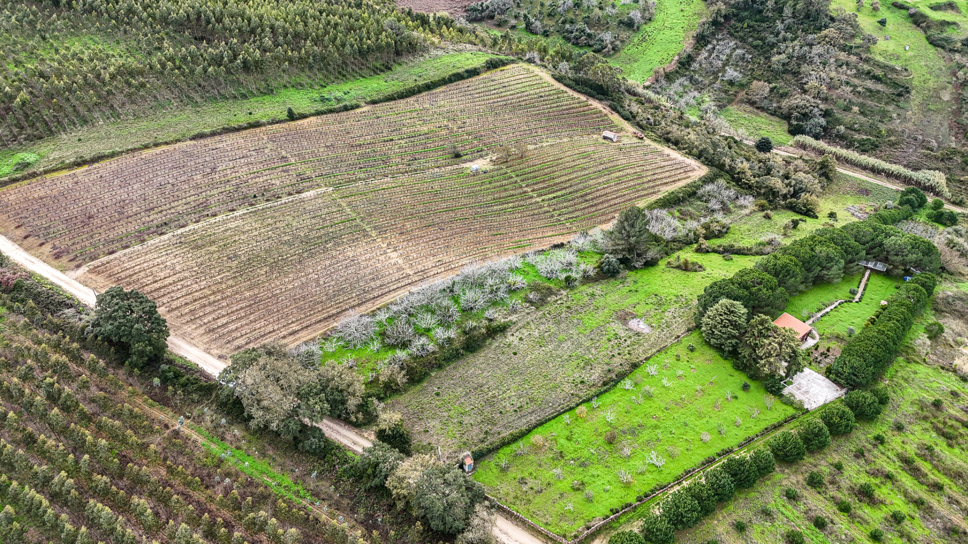 Terreno rustico na Pipa