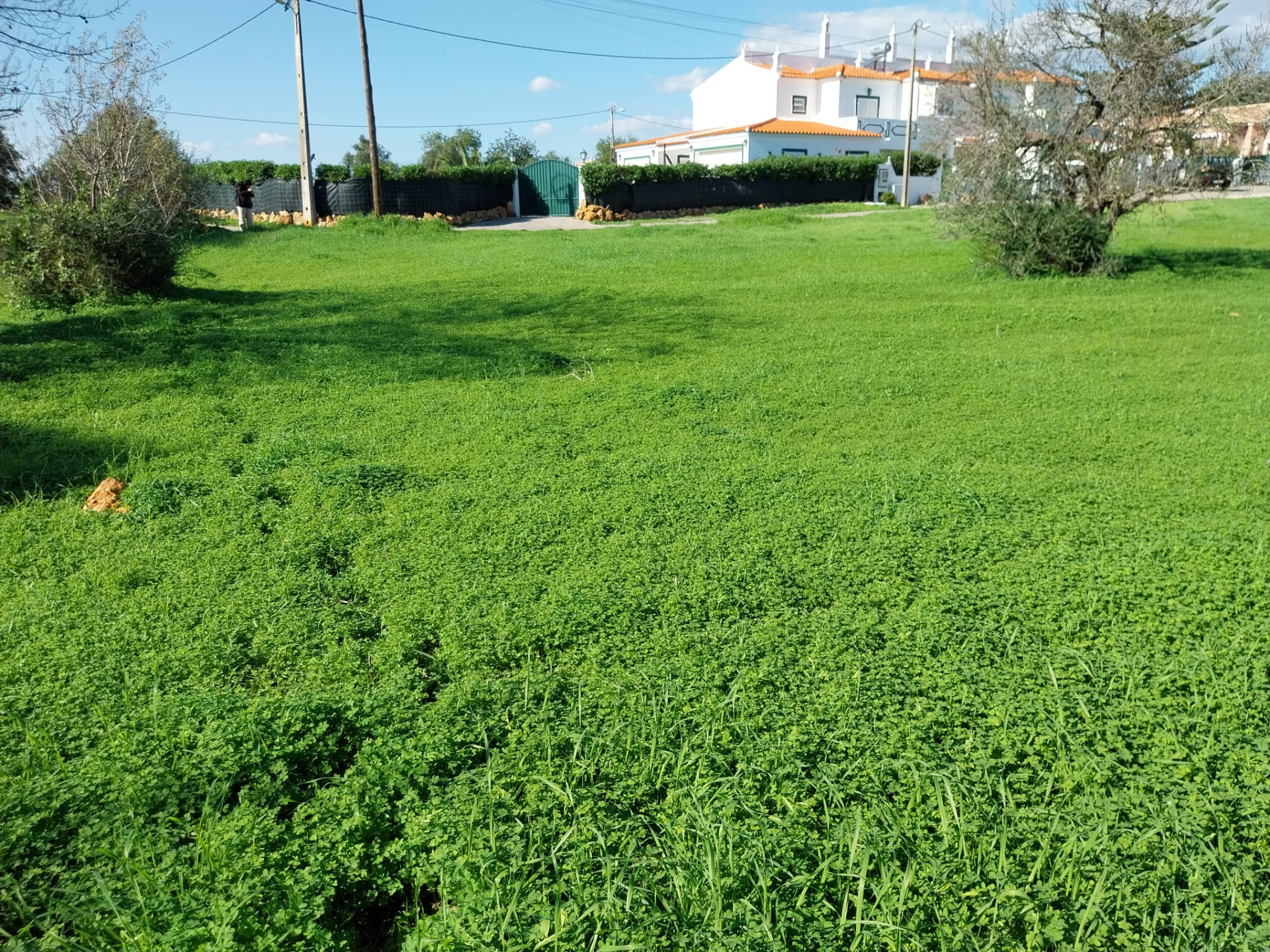 Lote de terreno junto ao centro de Almancil