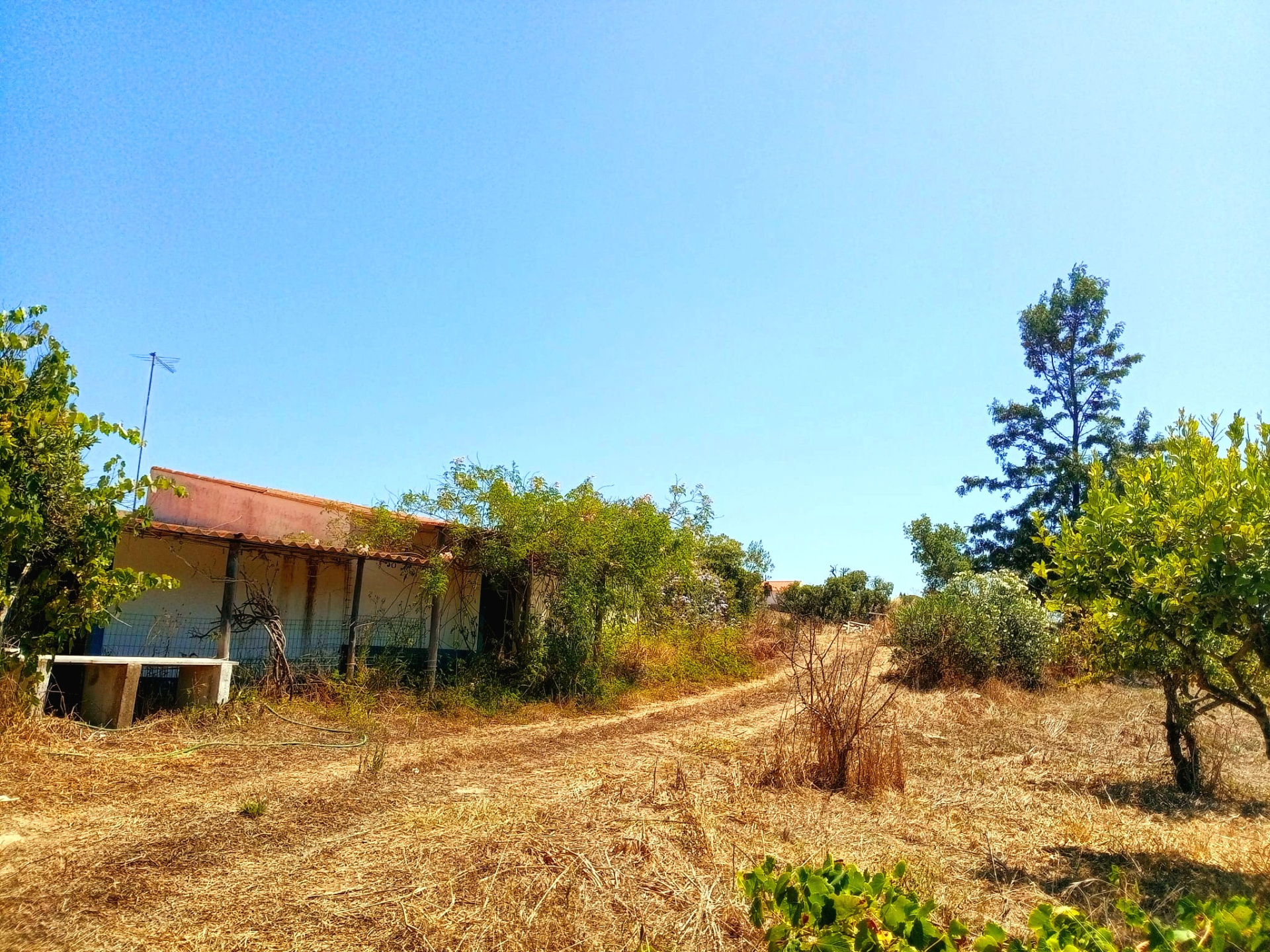 5-bedroom Alentejo villa in Santa Margarida da Serra, Grândola