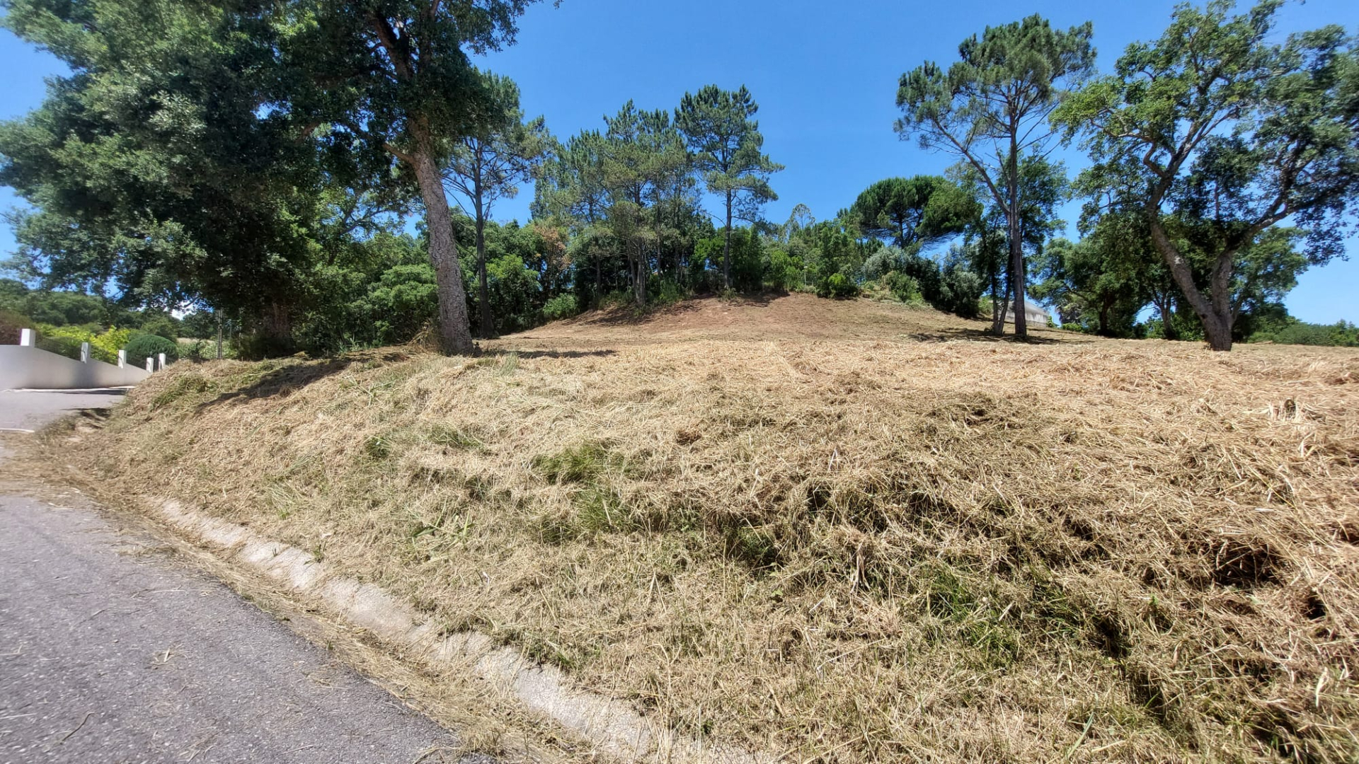 Terreno para construção de Moradias