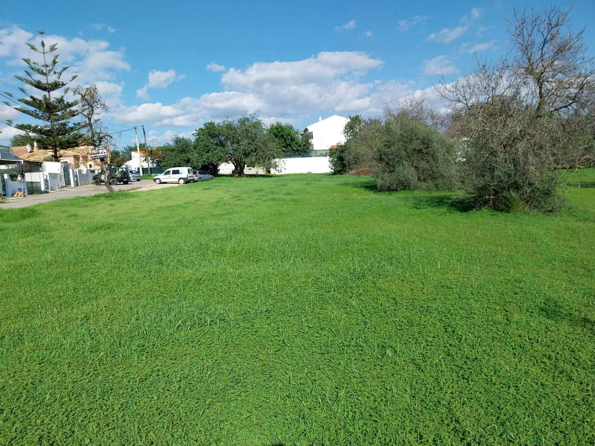 Lote de terreno junto ao centro de Almancil