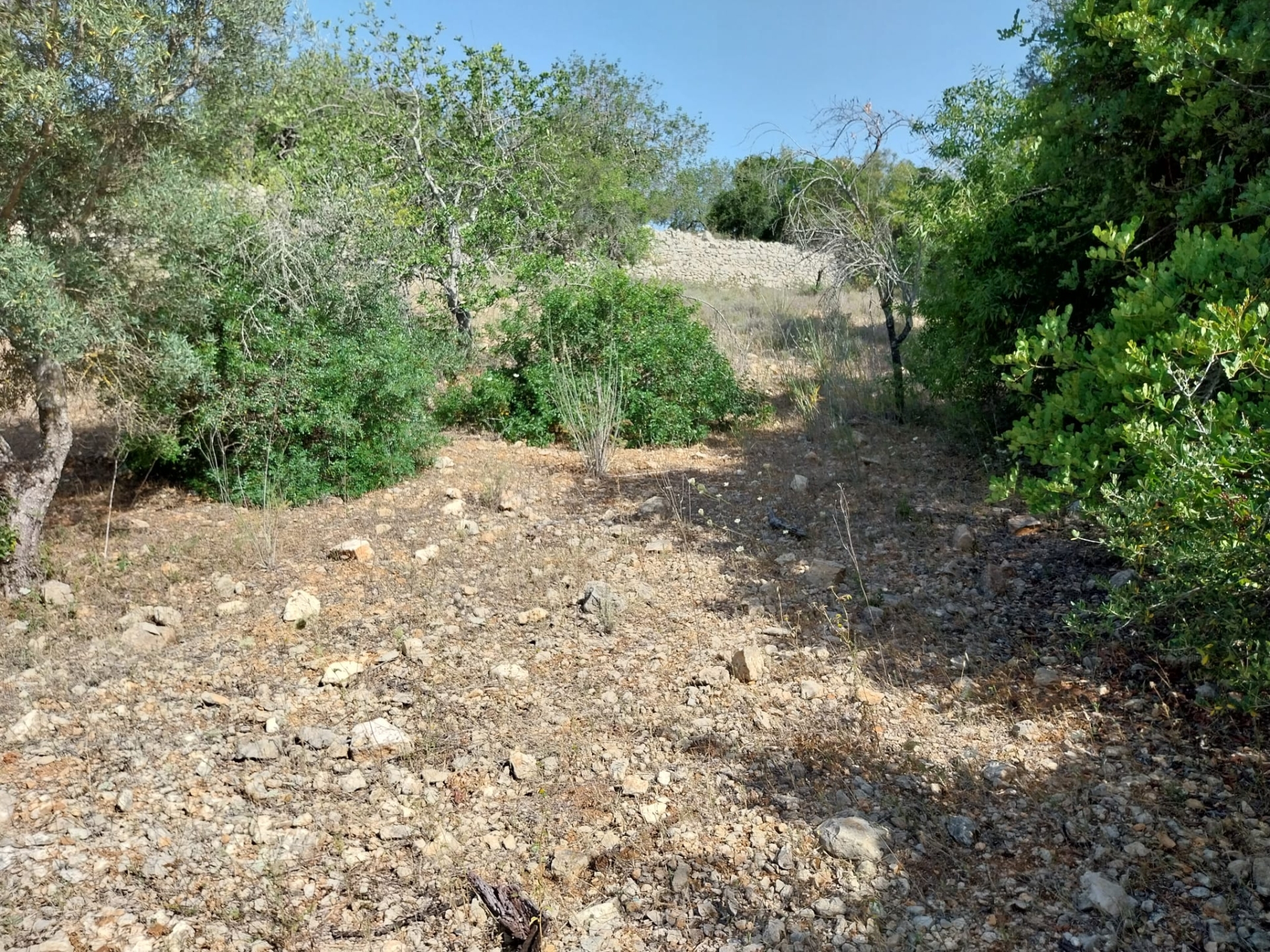 Lote de Terreno Rustico com 1.400m2