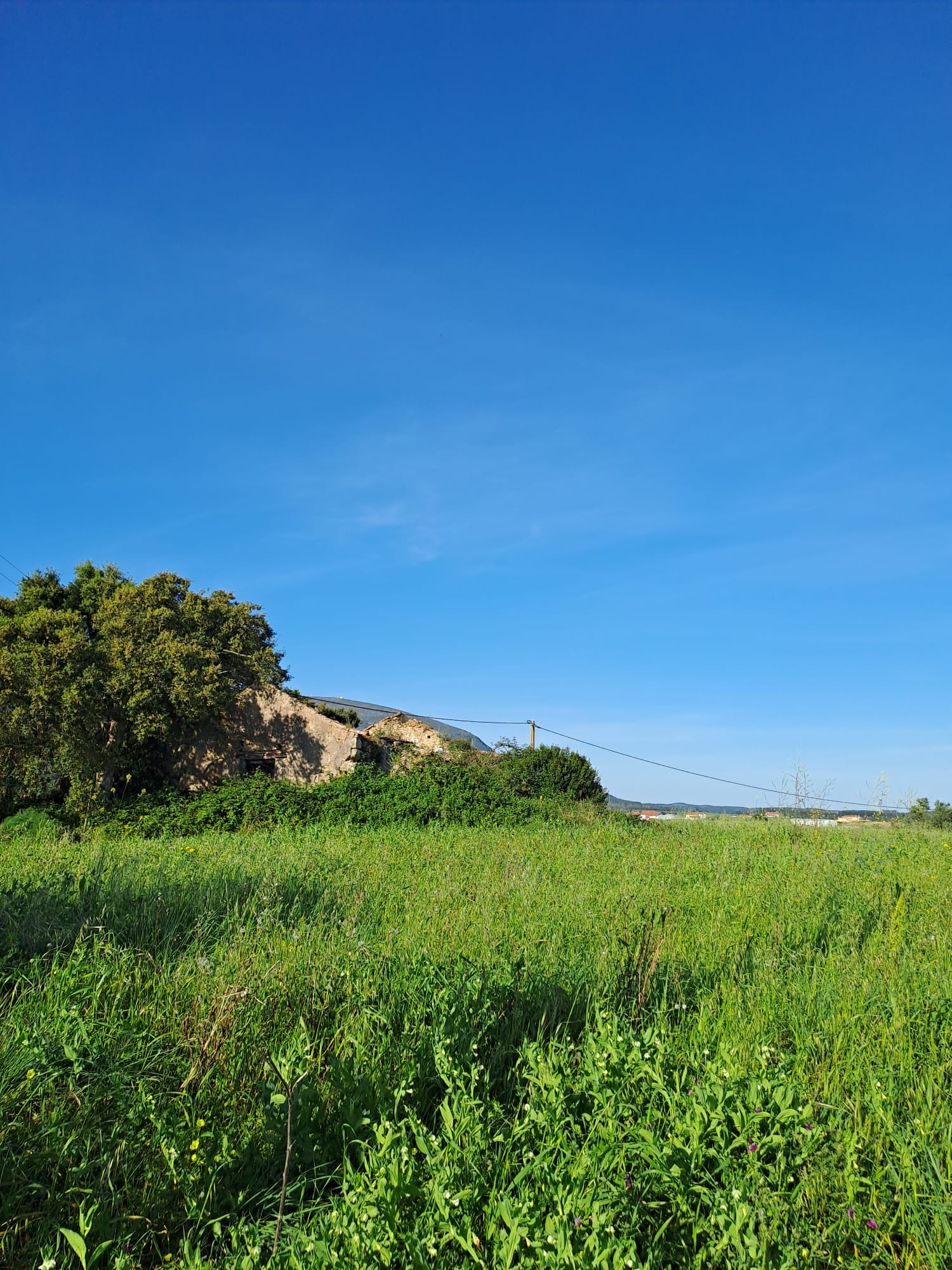 Rustic land in Penedos de Alenquer