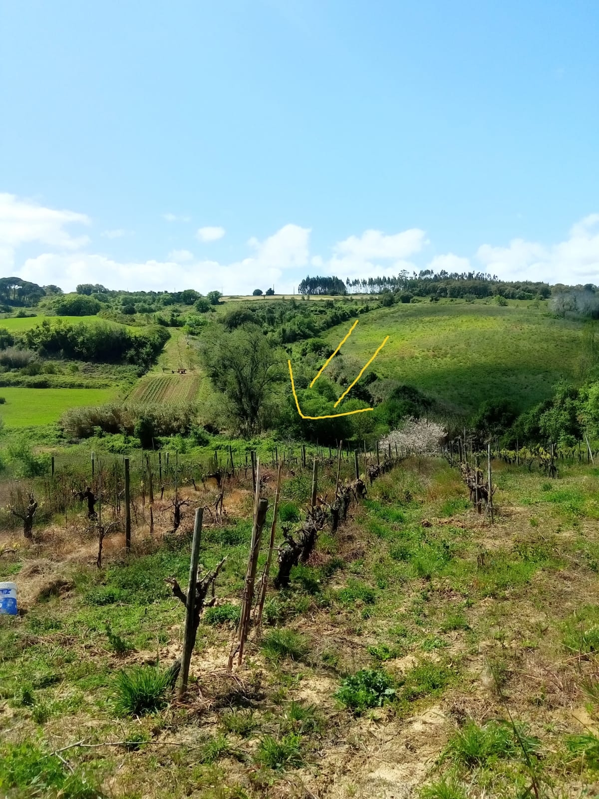 Terreno Rústico a 5km de Arruda dos Vinhos