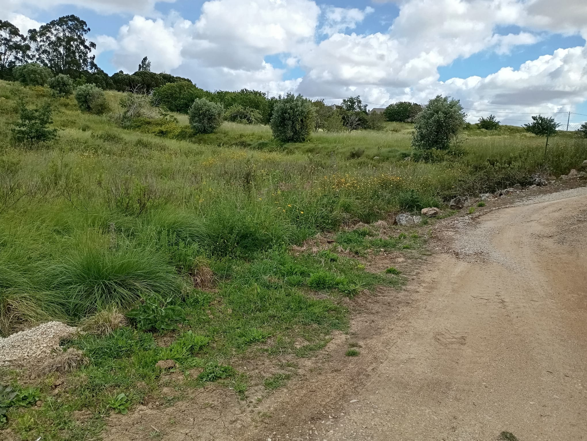 Building plot in Canhestro (Alenquer)