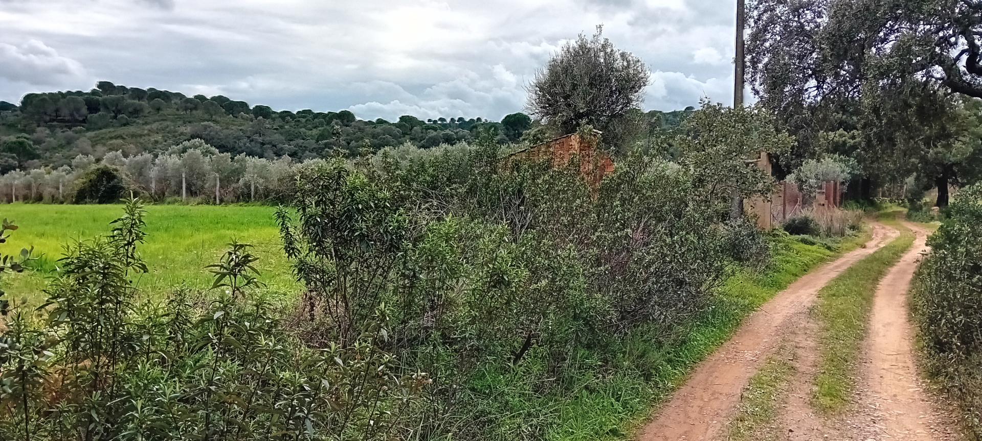 Terreno com Ruina a 7 Km de S.B. de Messines