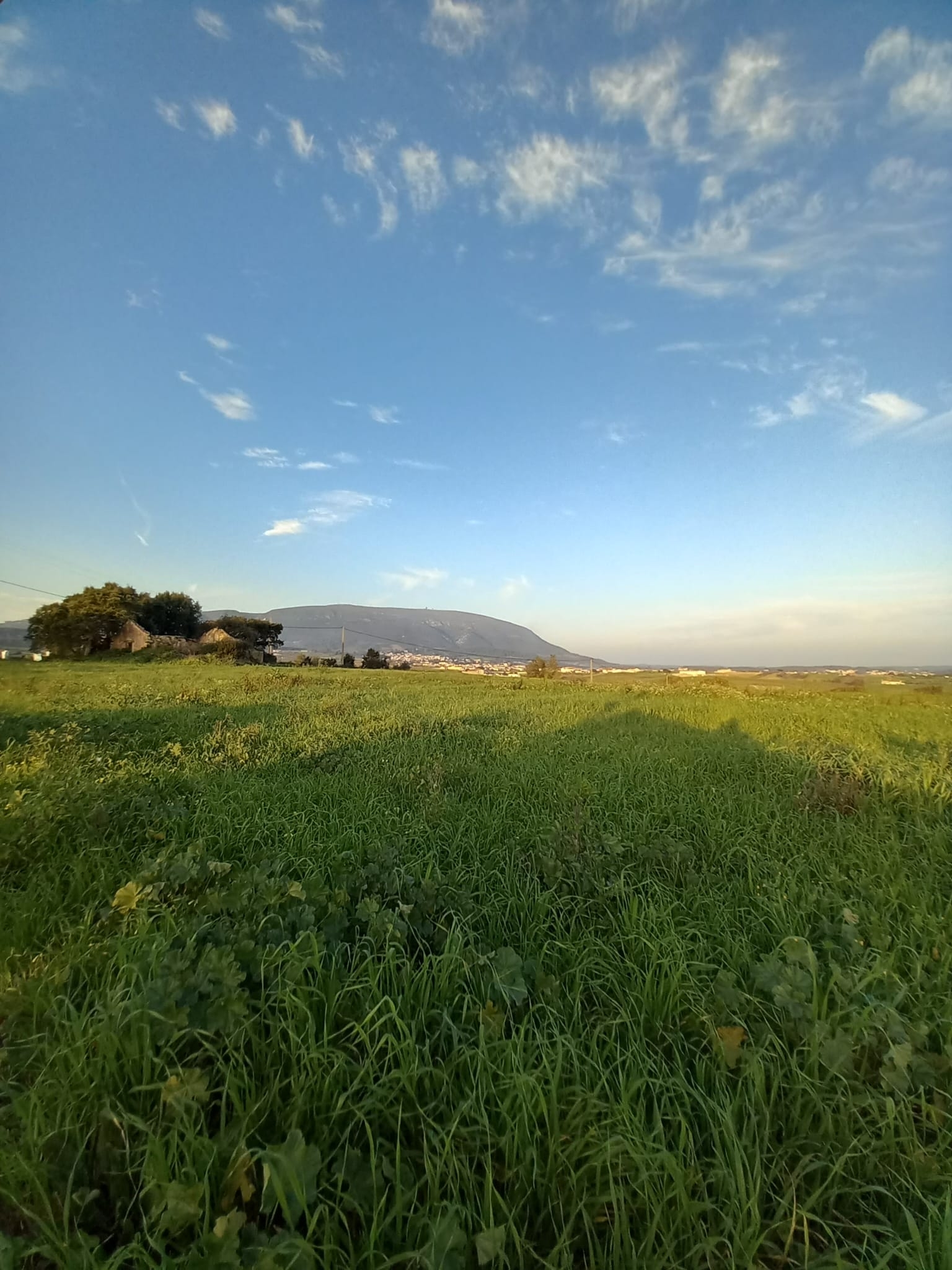 Rustic land in Penedos de Alenquer