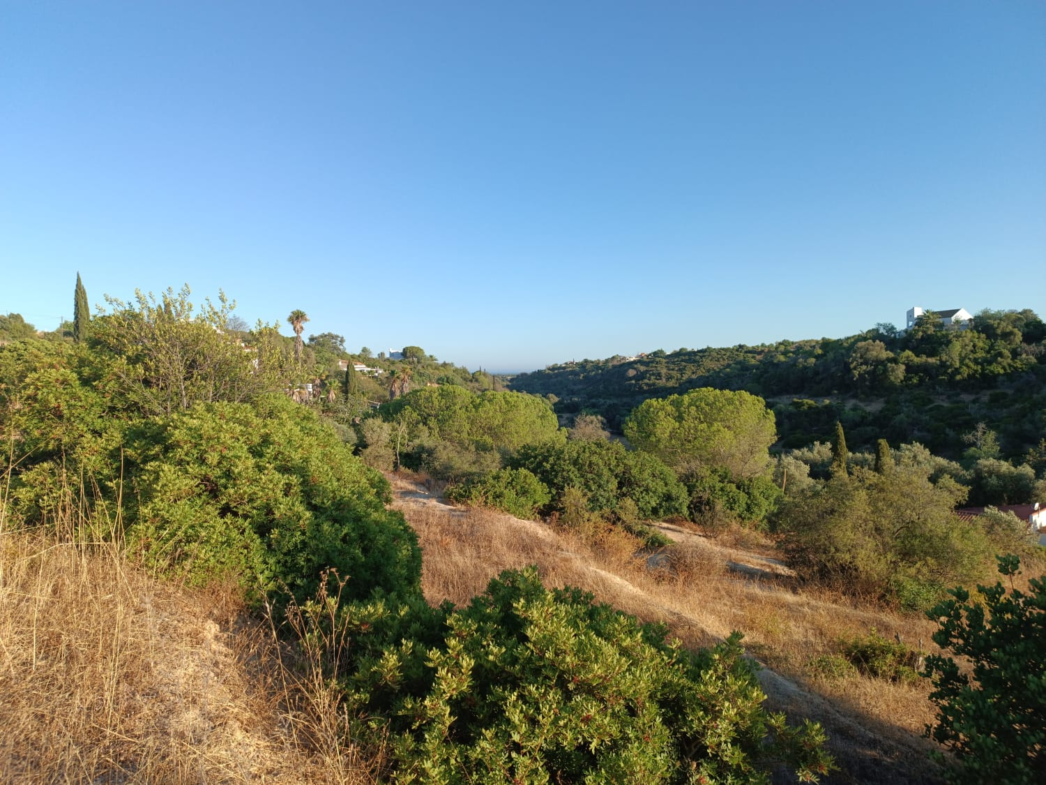 Land in Porches with Sea View and Tourist Potential