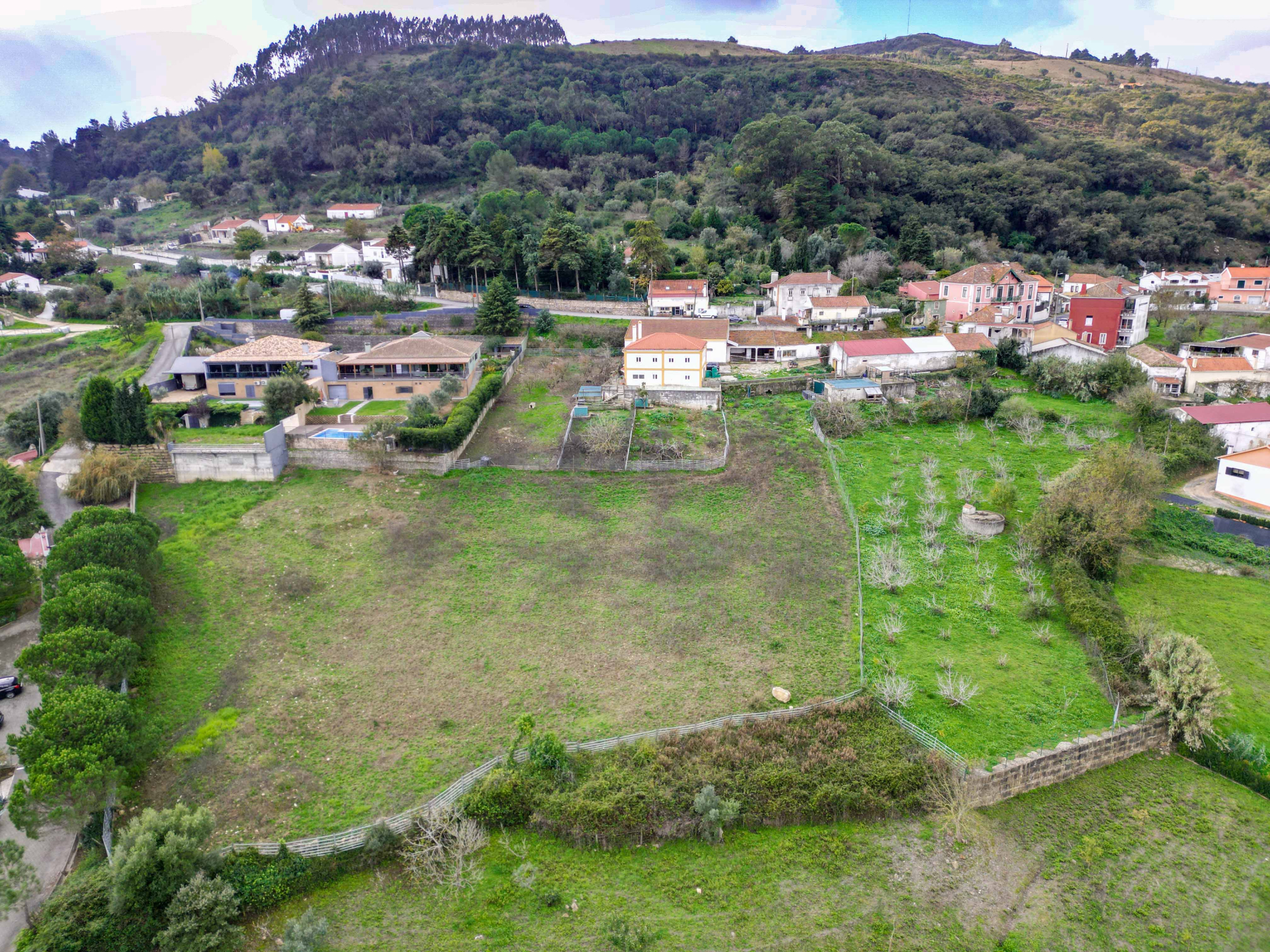 Quinta Arruda