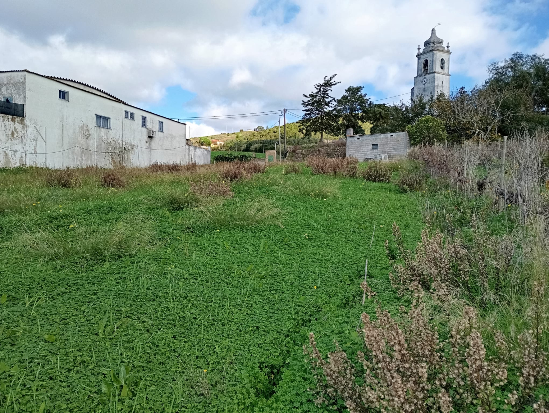 Terreno a 5 minutos do Carregado com viabilidade edificativa para 10 moradias habitacionais