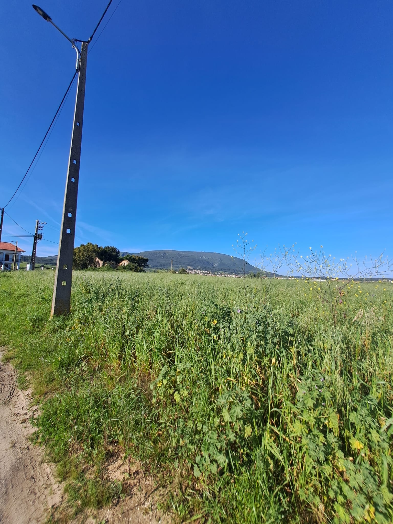 Rustic land in Penedos de Alenquer