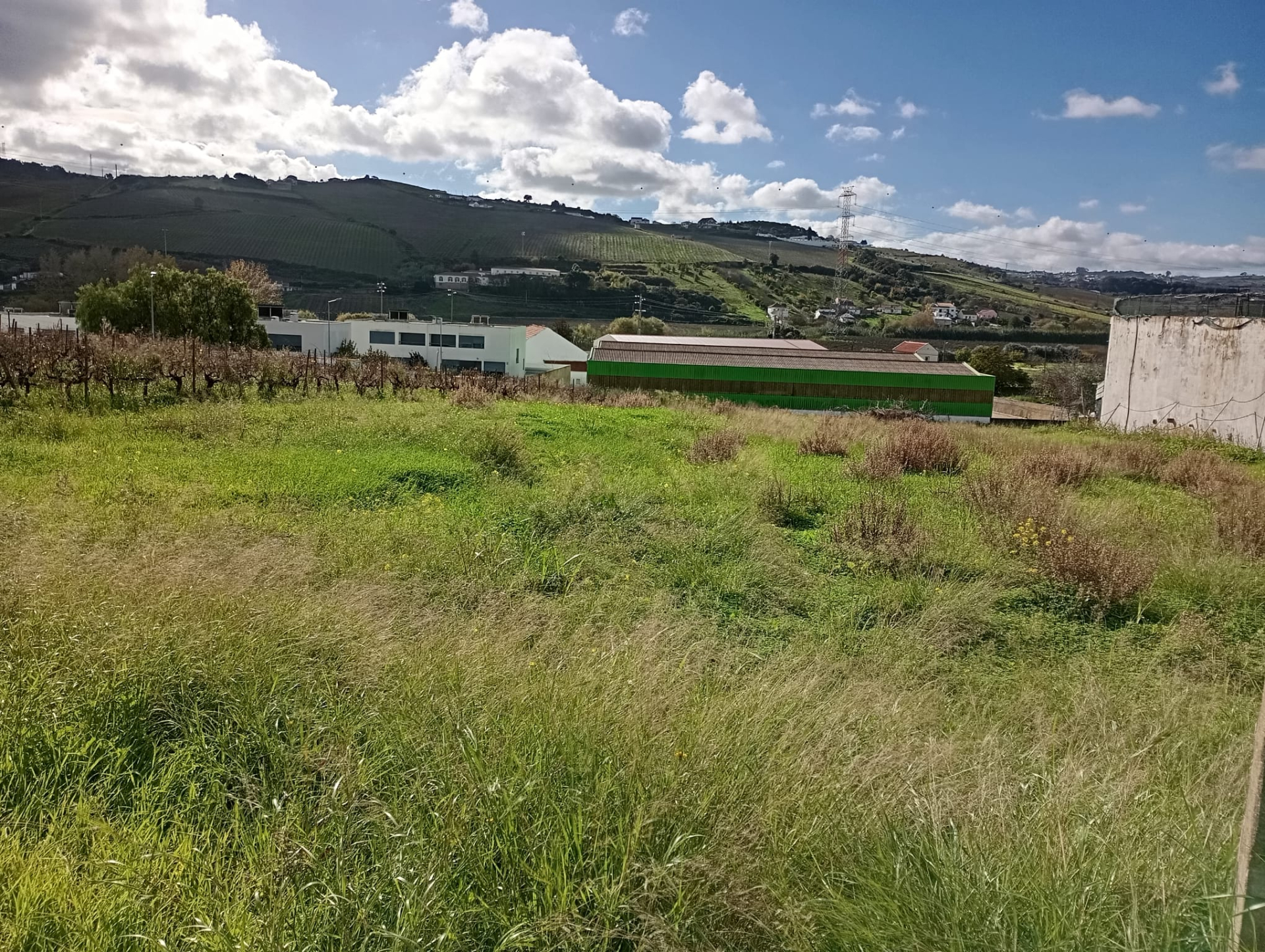 Terreno a 5 minutos do Carregado com viabilidade edificativa para 10 moradias habitacionais