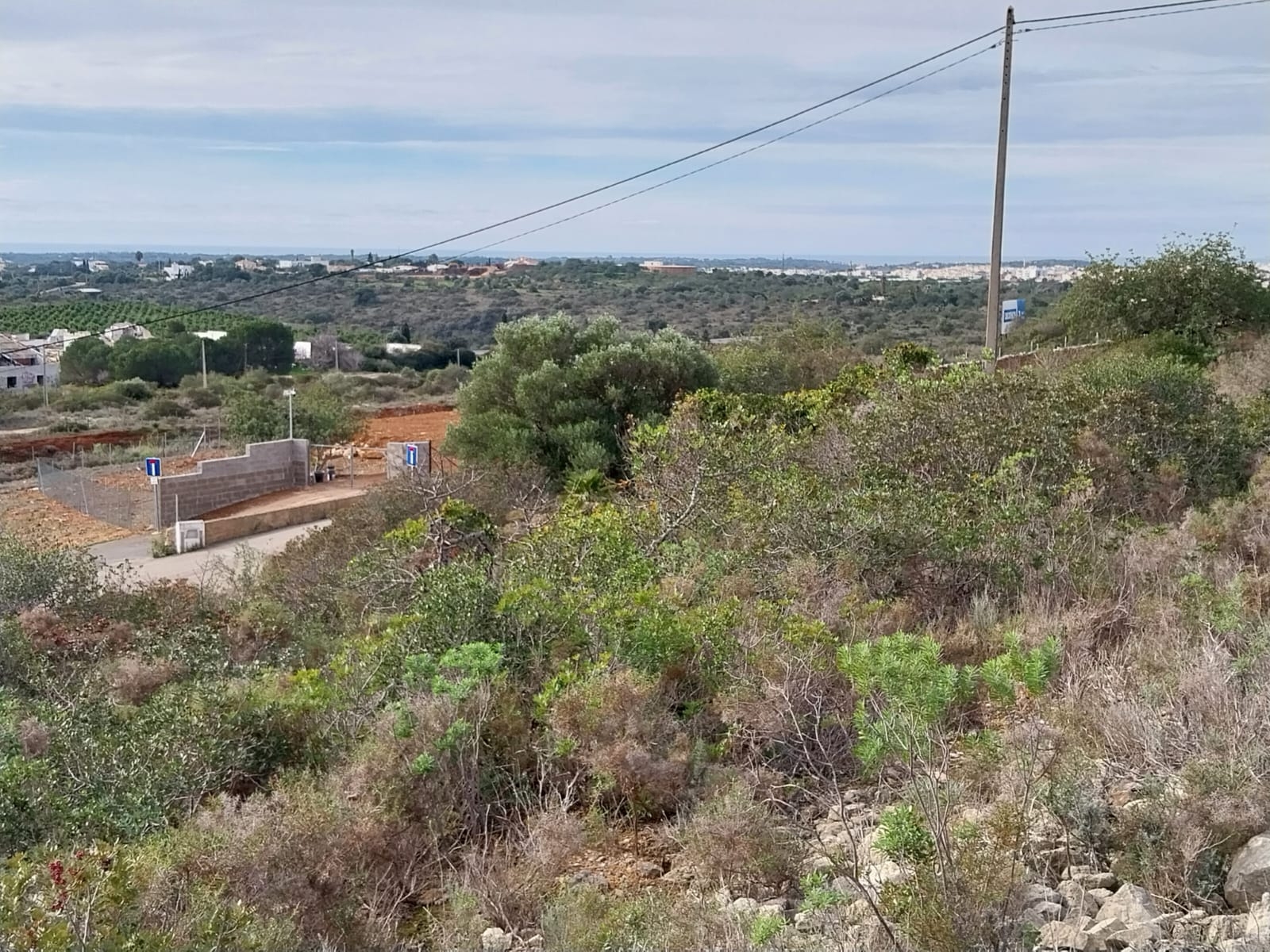 Bonito lote de terreno Rustico