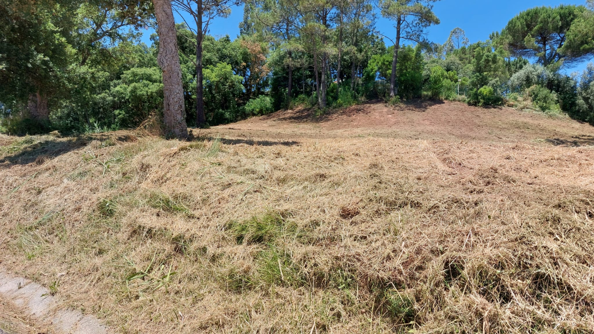 Terreno para construção de Moradias