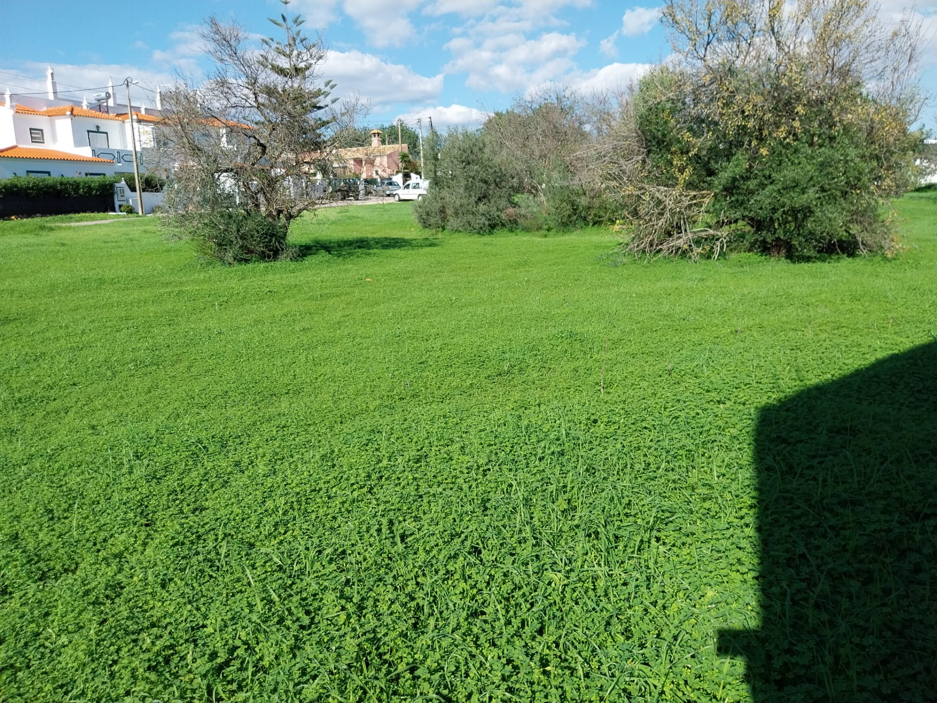 Lote de terreno junto ao centro de Almancil